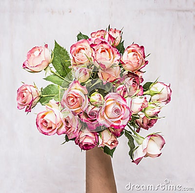 Bouquet of pink shrub roses in the hand of the girl gift on March 8 wooden rustic background top view Stock Photo