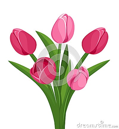 Bouquet of pink tulips. Vector Illustration