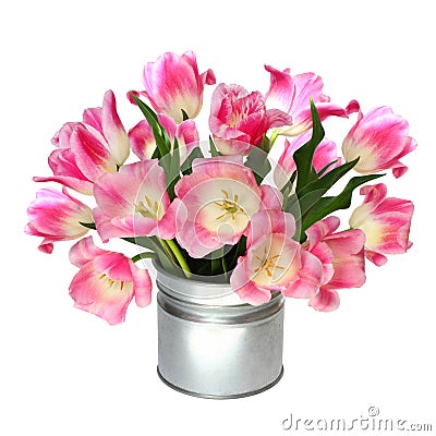 Bouquet of pink tulips Stock Photo