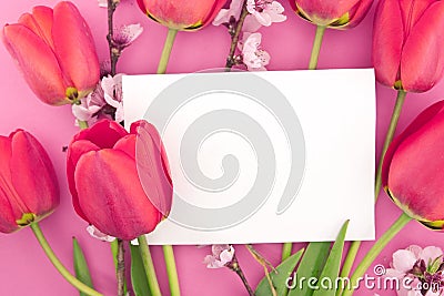 Bouquet of pink tulips and spring flowers on pink background Stock Photo