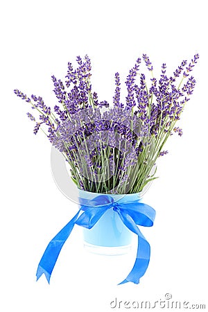 Bouquet of plucket lavender Stock Photo