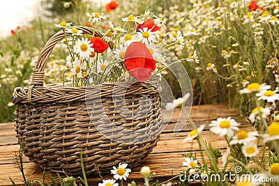 Bouquet of poppies and chamomiles in wicker basket on wooden table Stock Photo