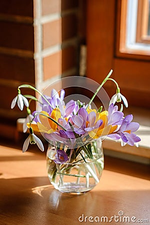 Bouquet of purple crocus in vase. Stock Photo
