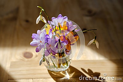 Bouquet of purple crocus in vase. Stock Photo