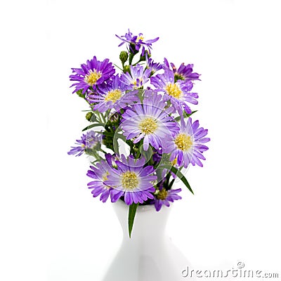 Bouquet purple daisy in vase Stock Photo