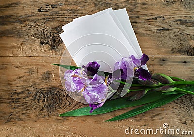 Bouquet of purple iris flowers and a blank sheet of paper Stock Photo