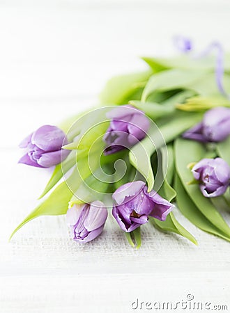 Bouquet of purpleviolet tulips on white rustic wooden backgrou Stock Photo