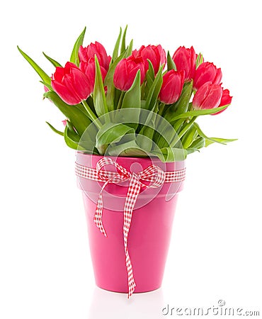 A bouquet of red colorful tulips Stock Photo