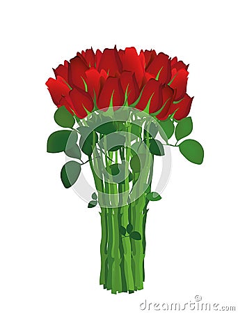 Bouquet of red flowers. Roses. Greeting card for Valentine`s Day Cartoon Illustration