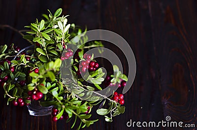 Bouquet of red ripe lingonberries in a glass on a dark wooden background. Stock Photo