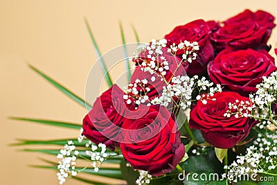 Bouquet of red roses Stock Photo