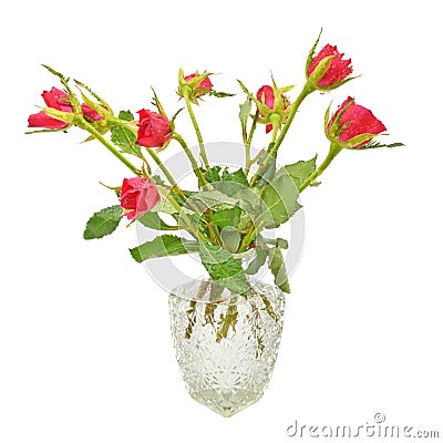 Bouquet of red roses in a jug Stock Photo