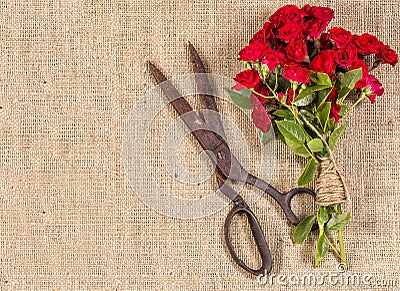 Bouquet of Red Roses and Old Rusty Scissor Stock Photo