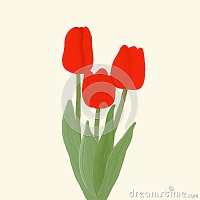 A bouquet of red tulips painted with oil paint texture. Stock Photo