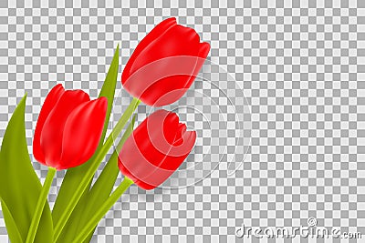 Bouquet of red tulips with space for greeting message. Vector Illustration