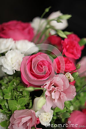 Rose bouquet 1544 Stock Photo