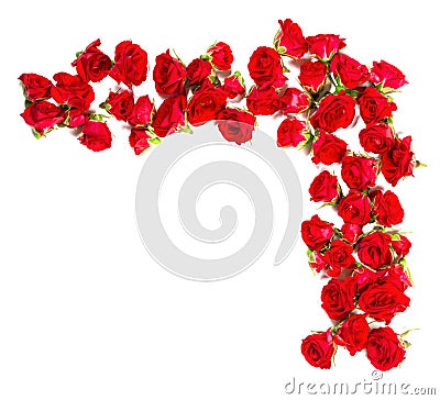 Bouquet of roses arranged to form of a border or design element for floral themes Stock Photo