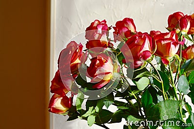 Bouquet of roses Stock Photo