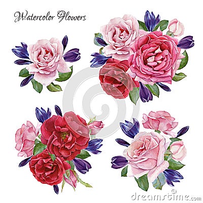 Bouquet of roses and crocuses. Hand drawn watercolor flowers set Stock Photo