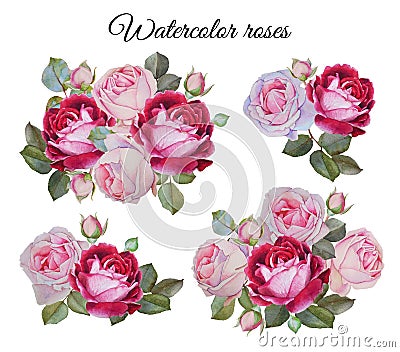 Bouquet of roses. Flowers set Stock Photo