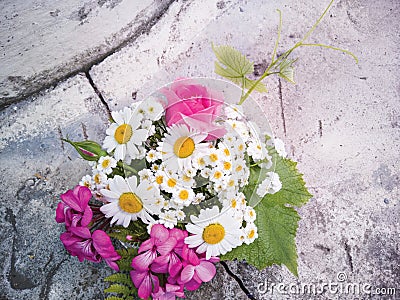 Bouquet of roses, geranium, daisies on a concrete wall with a crack Stock Photo