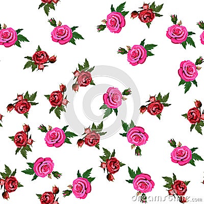 Bouquet of roses Vector Illustration