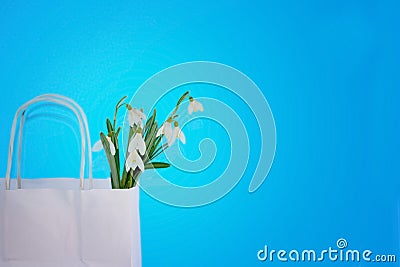 A bouquet of snowdrop flowers in a shopping bag Stock Photo