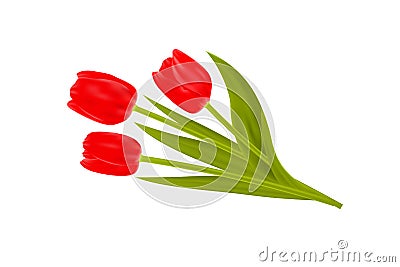 Bouquet of spring tulips flowers on white background. Vector Illustration