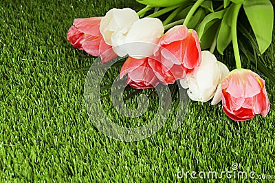 Bouquet of spring tulips on a green artificial grass. Stock Photo