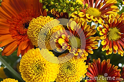 Bouquet of summer flowers, close-up Stock Photo