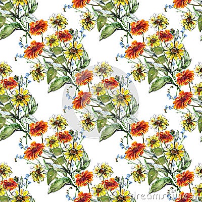 Bouquet sunflower with chamomile and blue flower color pencil Stock Photo