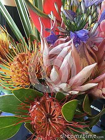 Bouquet of tropical flowers Stock Photo