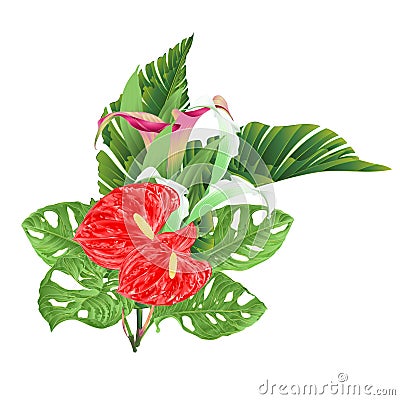 Bouquet with tropical flowers floral arrangement, with beautiful lilies Cala and anthurium and banana leaves and monstera vintage Vector Illustration