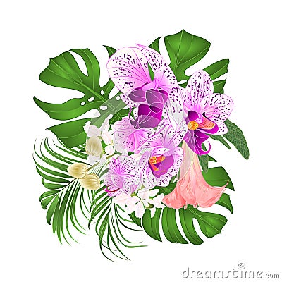 Bouquet with tropical flowers floral arrangement, with beautiful purple and white orchid, palm,philodendron and Brugmansia vinta Vector Illustration