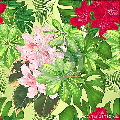 Bouquet with tropical flowers floral arrangement, with beautiful red and pink rhododendrons Schefflera philodendron and ficus natu Vector Illustration