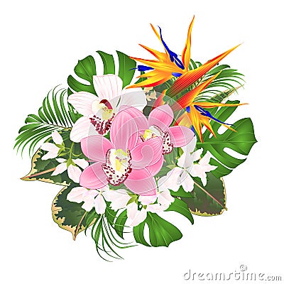 Bouquet with tropical flowers floral arrangement with beautiful Strelitzia and white and pink orchids Cymbidium palm,philodendr Vector Illustration