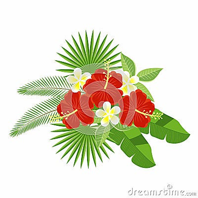 A bouquet of tropical flowers and leaves isolated on a white background. Flowers of hibiscus and plumeria, palm leaf, monstera. Vector Illustration