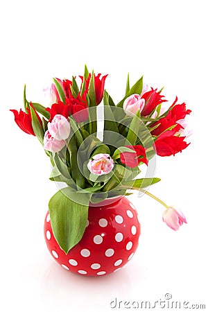 Bouquet tulips Stock Photo