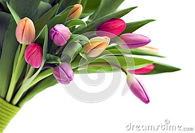 Bouquet of tulips Stock Photo
