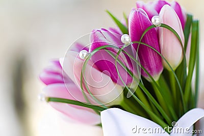 Bouquet tulips Stock Photo