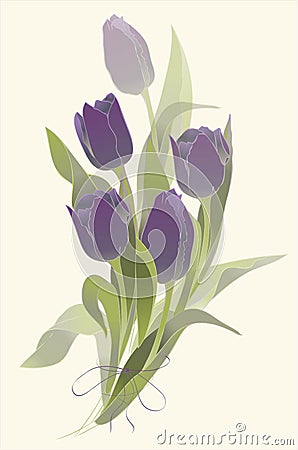 Bouquet of tulips . Buds and flowers of a tulips. Spring tulip flowers bunch Vector Illustration