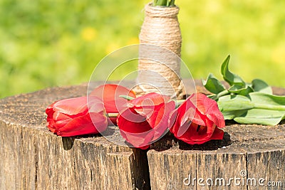 A bouquet of tulips in drops of water Stock Photo