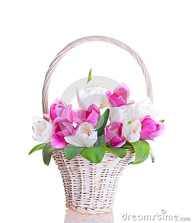 Bouquet tulips flower Stock Photo