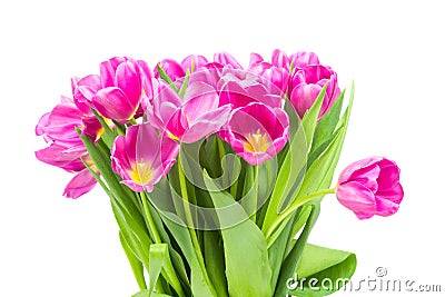 Bouquet of tulips Stock Photo