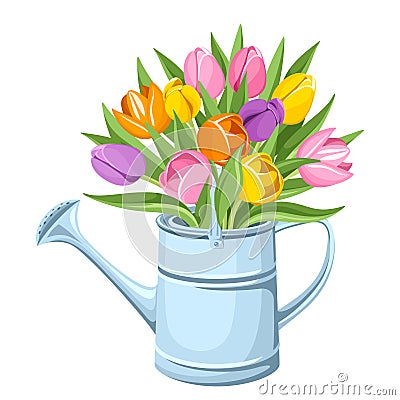 Bouquet of tulips in watering can. Vector illustration. Vector Illustration