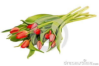 Bouquet of tulips on white background, isolated red flowers, beautiful buds, romantic gift as single object, summer bloom, spring Stock Photo