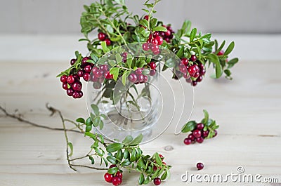 Bouquet of twigs with red ripe lingonberries in a glass. copy space, mock up, text. Stock Photo