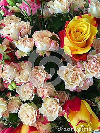 Bouquet Stock Photo