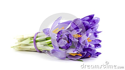 Bouquet of violet crocuses and white snowdrops Stock Photo