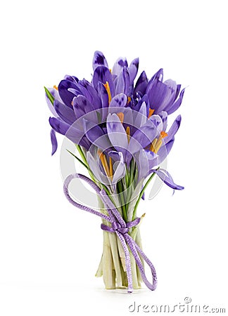 Bouquet of violet crocuses and white snowdrops Stock Photo